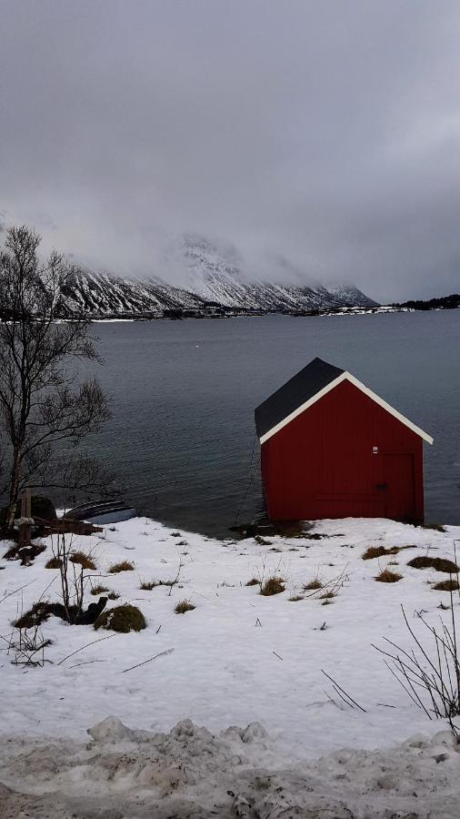 Rabben Feriested Lyngværet Esterno foto