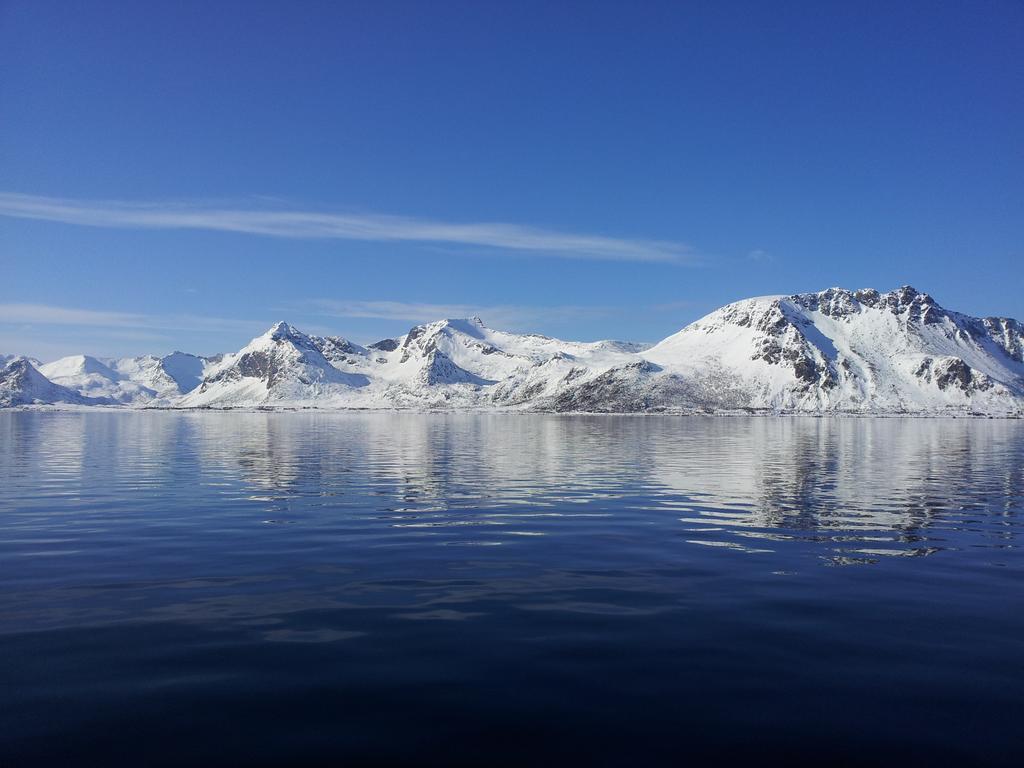 Rabben Feriested Lyngværet Esterno foto